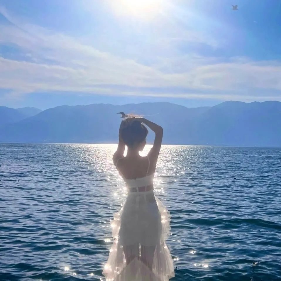 校友春心 海报